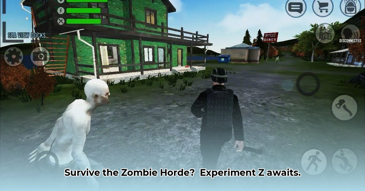 experiment-z